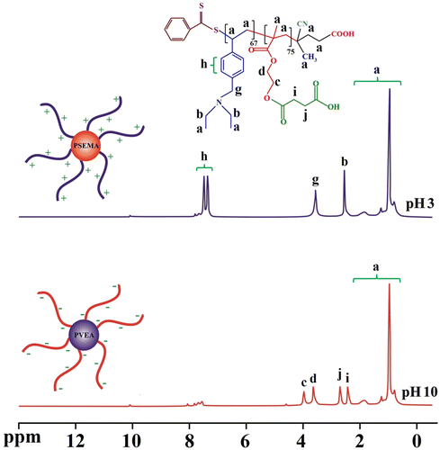 Figure 6. The 1H NMR spectra (D2O, 25 °C) for the PSEMA-b-PVEA ‘schizophrenic’ diblock copolymer recorded at pHs 3.0 and 10.0 using DCl and NaOD where appropriate.