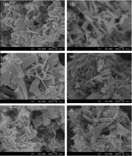 Figure 8. FE-SEM images of calcium phosphate nano-particles. (a–c) Nano-particles synthesized at 40 C: (a) 10% F127; (b) 40% F127; and (c) 80% F127. (d–f) Nano-particles synthesized at 100 C: (d) 10% F127; (e) 40% F127; and (f) 80% F127. Magnification is 80,000 times [Citation108]