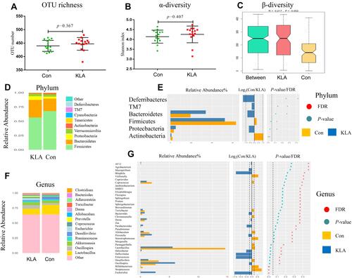 Figure 3 Alterations in the gut microbiome in KLA mice. OTU richness (A) and Shannon index (B) based on 16S rRNA genes from KLA and Con mice. Each point represents a mouse (n=15/group). (C) OTU analysis of similarities (ANOSIM) illustrates the gut microbiome β-diversity (n=15/group). Relative abundances (percentage of total sequences) of gut bacteria at the phylum (D) and genus (F) levels. Species with abundance < 0.5% in all samples were merged together into “Others”. Differences between KLA and Con mice at the phylum (E) and genus (G) levels, based on Mann–Whitney U-tests.