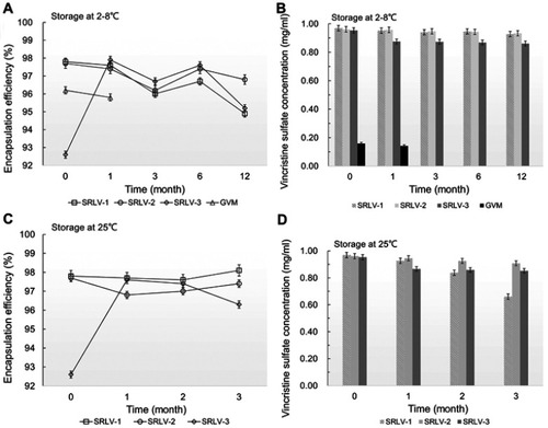 Figure 3 The changes of encapsulation efficiency (A and C) and vincristine sulfate concentration (B and D) for VCR liposome formulations. The formulations were stored in the time of 0, 1, 3, 6 and 12 months at 2–8°C (A and B) and in the time of 0, 1, 2 and 3 months at 25±2°C/60% ±5% RH (C and D).