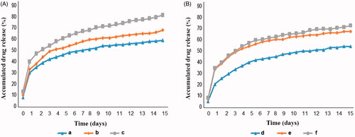 Figure 3. Release behaviour of chrysin and curcumin loaded nanofibres in PBS: (A) Chrysin loaded PCL-PEG nanofibre and (B) Curcumin loaded PCL-PEG nanofibre. (a) Chrysin 5%, (b) Chrysin 10%, (c) Chrysin 15%, (d) Curcumin 5%, (e) Curcumin 10%, and (f) Curcumin 15%.