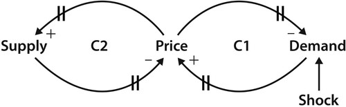 Figure 2. Causal loop diagram illustrating pricing as a function of supply and demand, with + and − illustrating negative and positive correlation, respectively, and the vertical lines indicating delayed effect (Reprinted from Wheat, Citation2007a, p. 396, with permission from John Wiley & Sons).