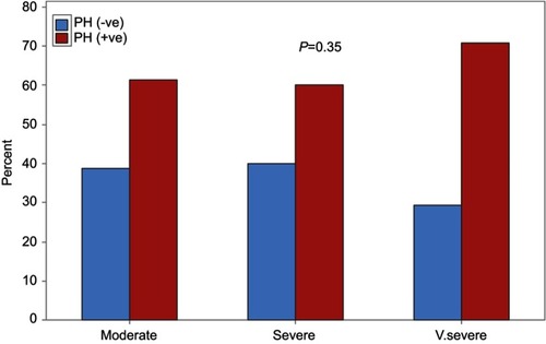 Figure 2 PH status in different COPD groups.