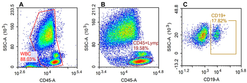 Figure 2 Flow cytometry analysis of B cell subpopulations.