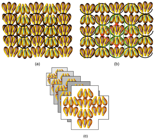 Figure 5. (Colour online) Curvature in molecular packing resulting in in-plane modulation within the layers of antiphases; (a) in-phase modulations resulting in a layered phase, (b) out-of-phase modulations resulting in the formation of a columnar phase, and (c) columnar structuring where molecules may be disorganised looking into the page.