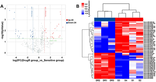 Figure 1 Analysis of differentially expressed miRNAs. (A) Volcano map of differentially expressed miRNAs, each dot representing one miRNA. Red dots represent upregulated miRNAs, blue dots represent downregulated miRNAs, and gray dots indicate no significant change. (B) Heat map of differentially expressed miRNA clusters. The abscissa shows the sample name and the ordinate shows the miRNA name. Red indicates upregulated expression and blue indicates downregulated expression. DR1-DR3 refer to chemoresistant serum sample, and S1-S4 refer to chemosensitive serum sample.
