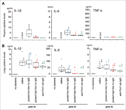 Figure 6. Cytokine concentrations in plasma and lung homogenates in the premixed setting. Saline, pooled low titer hu-IgG, pooled high titer hu-IgG, or anti-PcrV rab-IgG was intravenously administered 1 h prior to tracheal instillation of a lethal dose (1.5 × 106 CFU/mouse) of P. aeruginosa PA103. The blood from the surviving mice and lungs from all the mice were collected 24 h post-instillation. Data are presented as median, first (boxes), and second quartiles (bars) with each value indicated by circles; *, p < 0.05 compared with the saline pre-iv group; ‡, p < 0.05 compared with the no bacteria control group.