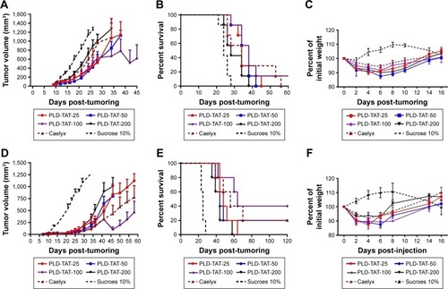 Figure 6 In vivo therapeutic efficacy of various liposomal preparations in female BALB/c mice bearing C26 colon carcinoma tumor after iv administration of a single dose of either 10 mg/kg (panels A–C) or 15 mg/kg (panels D–F) liposomal doxorubicin or sucrose 10% on day 7 after tumor inoculation. A and D represent tumor growth rates, B and E represent survival curves, and C and F represent animal weight changes followed by injection. Data depicted as mean ± SE (n10 mg/kg=7, n15 mg/kg=5).Abbreviations: TAT, transactivator of transcription; PLD, PEGylated liposomal doxorubicin.