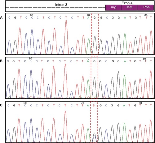 Figure 3 TBX5 gene sequence.