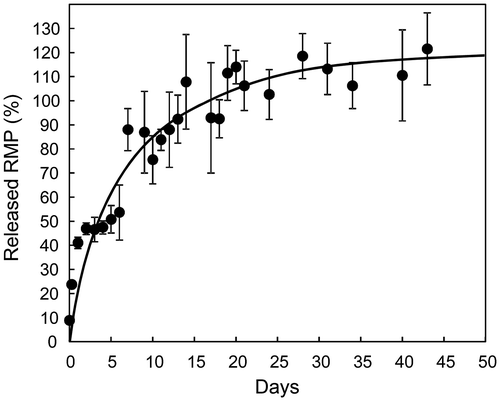 Figure 2. Release behavior of RMP from PLG/N3-NP.