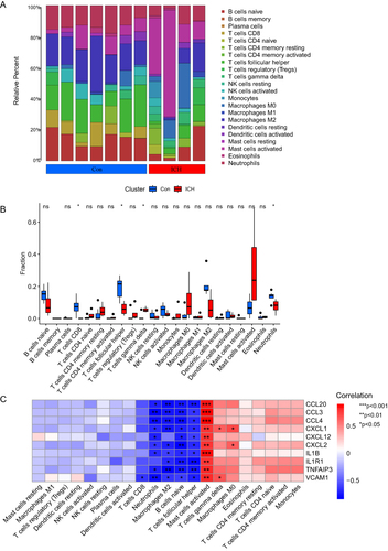 Figure 8 Immune infiltration analysis of ICH. (A and B) Immune landscape of ICH tissues and normal controls (*P<0.05; ns, non-significance, Wilcoxon test). (C) The correlation between aging-related hub genes and immune cells (*P<0.05, **P<0.005, ***P<0.001, Pearson correlation test).