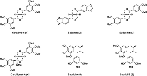 Figure 1. Furofuran and diarylbutane lignans synthesized by our group.