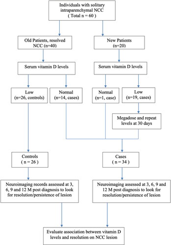 Figure 1. Study algorithm and flow diagram.