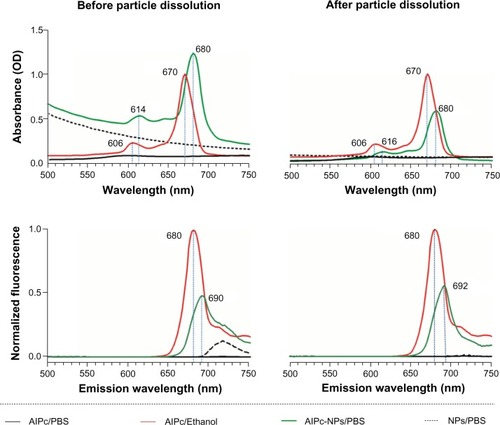 Figure 3 Absorbance and fluorescence (excitation at λ 350 nm) spectra of NPs and AlPc-NPs (1 μM AlPc) dispersed in PBS, before and after NP dissolution, and of 1 μM free AlPc in PBS or ethanol.Abbreviations: OD, optical density; AlPc, aluminum–phthalocyanine chloride; PBS, phosphate buffered saline; NP, nanoparticle.