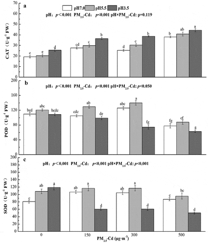 Figure 4. Changes of the foliar antioxidant enzymes activities under different simulated AR and PM2.5-Cd treatments.