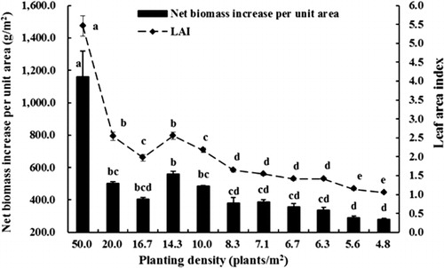 Figure 5 Net biomass increase per unit land area and leaf area index of 2-year-old apple trees grown at various densities. Each value is the mean with SED of three replicates. Data labelled with the same letter are not significantly different at P = 0.05.