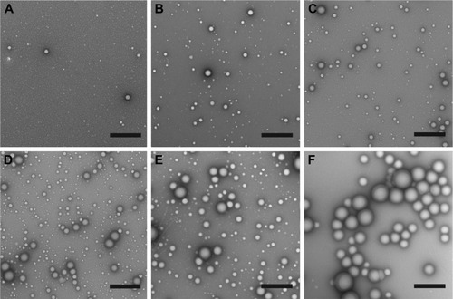 Figure 2 Representative TEM images of (A) control PS-b-PEO micelles, (B) PolyDot 5, (C) PolyDot 12.5, (D) PolyDot 25, and (E) PolyDot 50 samples, and (F) control PLGA nanoparticles. Scale bars =500 nm.Abbreviations: TEM, transmission electron microscopy; PS-b-PEO, poly(styrene-b-ethylene oxide); PLGA, poly(lactic-co-glycolic acid).