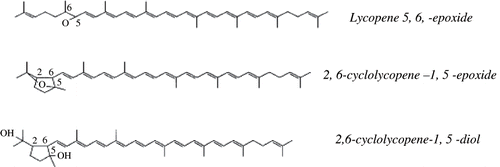 Figure 2 Lycopene oxidation products in human serum.