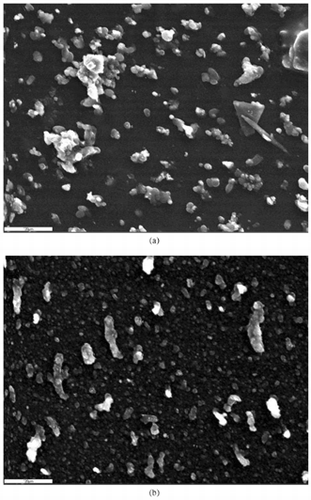 FIG. 1 Scanning electron microscopy of particle episodes. SEM coarse, very fine particles collected on October 4 by the DRUM sampler as a function of aerodynamic size, (a) coarse (5.0 μm > Dp > 2.5 μm) and (b) very fine (0.26 μm > Dp > 0.09 μm). Compositional analysis of coarse particles was consistent with finely ground concrete, glass, and gypsum. Only two fibers that were potentially asbestos were found in these analyses. Very fine particles showed large sulfate-rich aggregates aligned roughly with the direction of the air flow across the drum, consistent with postcollection agglomeration of highly hydrated sulfuric acid. Silicon was the only element seen in particles <0.3 μm, often imbedded in the grease coating.