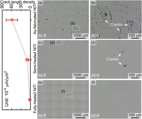 Figure 3. Crack length densities and optical microstructures: (a) and (b) as-fabricated NiTi; (c) and (d) Semi-healed NiTi; (e) and (f) Fully healed NiTi.