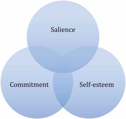 Figure 1. Model of development of ethnic identity.