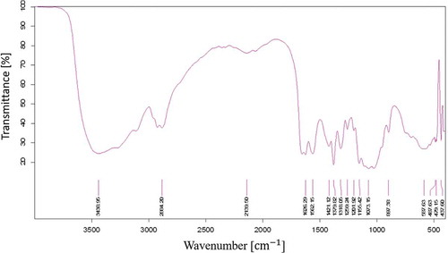 Figure 1. FTIR spectra of extracted CS from C. multicarinata shells