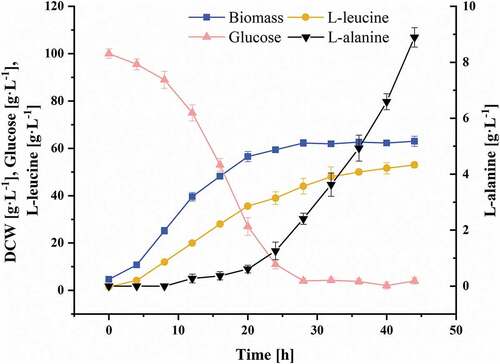 Figure 1. The growth, product/byproduct generation, and glucose consumption profiles of C. glutamicum CP in fed-batch culture