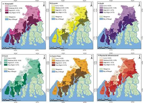 Figure 3. Components of socio-economic vulnerability index: (a) demographic, (b) economic, (c) health, (d) social, (e) food and water, and (f) physical and infrastructure