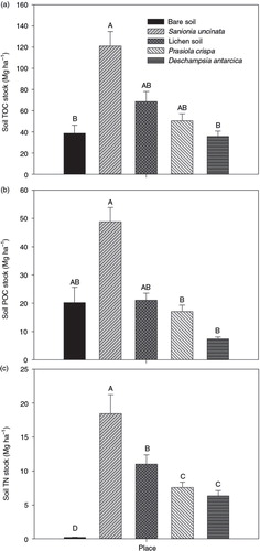 Fig. 6  Soil stocks of (a) total organic carbon (TOC), (b) particulate organic carbon (POC) and (c) total nitrogen (TN) in five areas in Rip Point, Nelson Island, Antarctic, for the depth interval 0–0.40 m. Means (n=3) followed by the same letters do not differ by Tukey test at p<0.05. Vertical bars represent the standard deviation of the mean for each place (n=3).