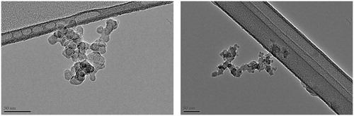 Figure 4. TEM images of kerosene soot particles sampled at 70 mm HAB (left) and 130 mm HAB (right).