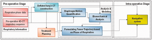 Figure 1. Schematic diagram of the proposed image guided minimally invasive system for lung tumor ablative procedures. Pre-operative steps start with acquiring a 4D-CT respiratory sequence along with its corresponding respiration phase data. The 4D-CT sequence is used to construct a CT image of the deflated lung. In conjunction with the respiration phase data, the sequence is also used to quantify the respiratory diaphragm motion. The constructed CT image is initially used for pre-operative treatment planning. It is also used, along with the quantified diaphragm motion, for biomechanical analysis of the lung's respiratory tissue motion and deformation. The resulting tumor motion is then formulated as a function of the respiration phase data. In the intra-operative phase, respiration phase data is acquired using tracked fiducial marker data, and the tumor motion is estimated using the relationships obtained from the proposed model pre-operatively. The estimated tumor motion, along with the constructed CT image of the deflated lung and the treatment plan, can be used as input in the surgical navigation system for accurate operative guidance.