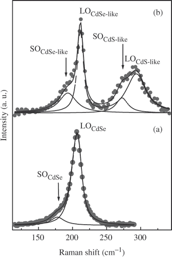 Figure 5. Raman scattering spectra of CdSe core (a) and CdSe/CdS structure (b). The LO and SO phonon mode are shown by dashed and dotted lines, respectively.