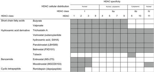Figure 2 Classes, targets and cellular distribution of HDAC inhibitors.