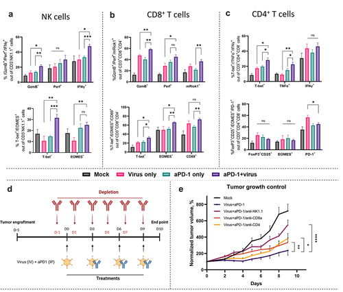 Figure 2. Characterization of tumor-infiltrating immune cells upon intravenous administration of Ad5-CMV-mTNFα/mIL-2 virus in combination with aPD-1. (a) Frequency of cytotoxic (GzmB+, Perf+, IFNγ+) and activated (T-bet+, Eomes+) NK cells, (b) cytotoxic (GzmB+, Perf+), anti-tumor specific mRiok1+ and activated (T-bet+, Eomes+, CD69+) CD8+ T cells and (c) activated (T-bet+, TNFα+, IFNγ+) CD4+ T cells as well as immunosuppressive Tregs (CD25+FoxP3+) and (EOMES+, PD-1+) CD4+ T cells. All flow cytometry experiments were run in technical duplicates, and resulting data is presented as mean±SEM. (d) Experiment design. C57BL/6BrdCrHsd-Tyr mice (n = 6 per group) were subcutaneously injected with LLC1 cells into the right flank. After tumors reached 2-3 mm animals were assigned to a group where they received depleting anti-mouse CD8a, anti-mouse NK1.1 or anti-mouse CD4 antibodies intraperitoneally. Next day animals were treated with combination Apd-1 intraperitoneally (IP) and 1 × 10Citation9 VPs (non-replicative Ad5-CMV-mTNFα/mIL-2) intravenously (IV). Control animals received PBS IV. Treatment and depletion frequency as indicated. (e) Tumor growth until day 9. Tumor volumes were normalized against day 0.