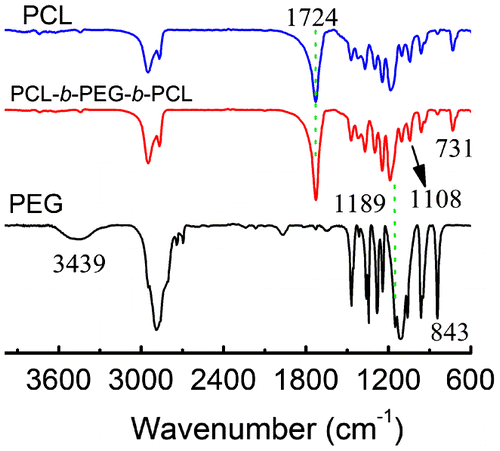 Figure 2. FTIR spectra of PCL, PEG and PCL45-b-PEG45-b-PCL45.