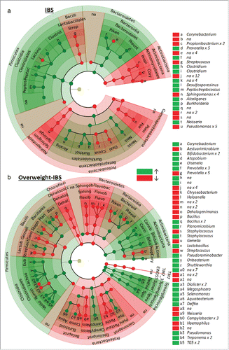 Figure 6. A and b Circular cladogram showing the taxa (up to the genus level) that were more (green) and less (red) abundant in (a) IBS participants vs. Healthy Controls, and in (b) overweight IBS participants vs. Healthy Controls. See Supplementary Tables 2 and 3 for more detailed list of taxa and statistics.