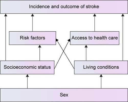 Figure 1 Socioeconomic mechanism underlying sex differences in stroke.