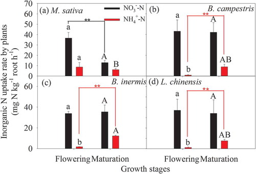 Figure 5. Plant inorganic N uptake rates in the four species cultivations during the flowering and maturation phases. Different lowercase and uppercase letters mean significant difference in plant NO3−-N or NH4+-N uptake rates during the flowering and maturation periods, respectively. Two asterisks (**) mean a significant difference between the two growth stages at the level of 0.01 based on t-test