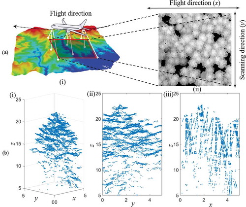 Figure 5. The flight and scanning direction of the MS-ALS data used in this study and the generated point cloud. (a) Flight and scanning direction (i) shown on a maximum height raster (ii). (b) The corresponding point cloud seen from different directions