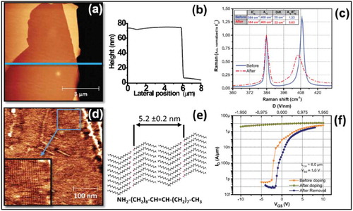 Figure 6. AFM images of an oleylamine functionalized MoS2 flake (and d) and the corresponding height profile (b). (c) shows Raman spectra before and after functionalization of the MoS2 by oleylamine molecules. A tentative model of self-assembled oleylamine molecules is shown in (e). Transport characteristics before doping, after doping and after removal of OA doping are compared in f. Adapted with permission from ref 59. Copyright ©2016 American Institute of Physics.