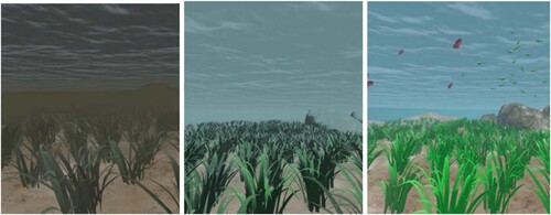 Figure 2. Underwater Environments for Participants with Low Scores (Left), Medium Scores (Middle), and High Scores (Right).