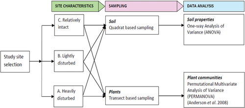 Figure 1. Flow chart of research methodology used in the study (authors construct).