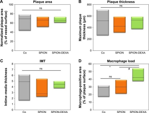 Figure 5 In vivo effects of early MDT with SPION-DEXA.Notes: Following the balloon injury, the animals were intra-arterially administered either control SPION (n=5) or SPION-DEXA (n=4) under external magnetic field. Control group animals (Co) did not receive any treatment with nanoparticles. After 5 weeks of high-cholesterol diet and normal diet for 2 weeks, animals were sacrificed and the excised aortas analyzed histochemically. (A) Normalized plaque area; (B) maximum thickness of intima (measured on Crossman’s trichrome stained sections); and (C) the calculated IMT are shown; (D) Macrophage-positive area (RAM-11 staining) in animals receiving early administration of control SPION or SPION-DEXA. Graphs show median, 25th and 75th percentile. *P=0.025 vs nanoparticle-untreated control; #P=0.0285 (one-tailed t-test), P=0.057 (two-tailed t-test) vs control SPION group.Abbreviations: IMT, intima–media thickness; MDT, magnetic drug targeting; ns, not significant; SPIONs, superparamagnetic iron oxide nanoparticles; SPION-DEXA, SPIONs conjugated with dexamethasone phosphate.