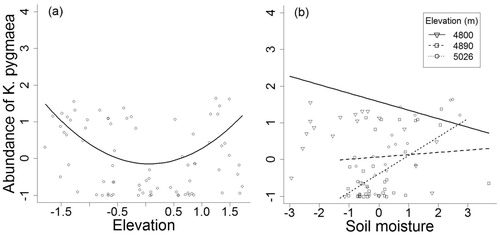 FIGURE A6. Graphs illustrating significant quadratic and interaction terms involved in best subset generalized linear model (GLM) for abundances of Kobresia pygmaea C. B. Clarke (combining data from five quadrats of 1 m2 within each combination of elevation and aspect zone in our study area) at Nam Tso, Tibet Autonomous Region of China, in 2009. Regression lines were based on estimates of parameters in each LME model. The explanatory variables used in the full model to derive the best subset models include first and second order terms for elevation, soil moisture, grazing intensity, pika burrow, solar radiation index, and surface roughness, and interaction terms between grazing intensity, elevation, and soil moisture.