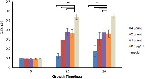 Figure 5 Bacterial growth inhibition graph for MRSA up to 24 hrs against Amp-AuNPs-PEG-RNT with different concentrations of ampicillin and medium-only (negative control). Values are mean±SD, N=3, p***<0.001 when compared to medium-only.Abbreviations: MRSA, methicillin-resistant S. aureus; RNT, rosette nanotube; PEG, polyethylene glycol; AuNPs, gold nanoparticles.