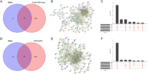 Figure 6 Identification of the shared immune cell-related co-morbidity genes in HF and SLE. (A) Venn diagram showing the intersection of DEGs and T cell CD4 naïve-related genes common to HF and SLE. (B) PPI network of 207 intersected genes. (C) Upset plot showing intersected genes obtained by 5 algorithms in PPI analysis. (D) Venn diagram showing the intersection of DEGs and Monocytes-related genes common to HF and SLE. (E) PPI network of 162 intersected genes. (F) Upset plot showing the intersected genes obtained by 5 algorithms in PPI analysis.