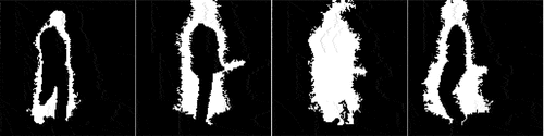 Figure 2. Examples of noisy segmented silhouettes from flash lidar data.