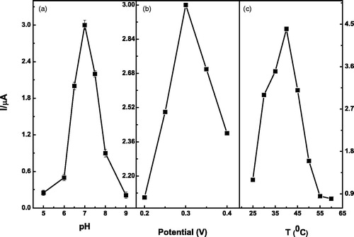 Figure 7. Effect of solution pH (a) applied potential (b) and temperature (c) on the steady-state current response of Lac-α-Fe2O3NCs–CPE in 0.2-M pH 7 PBS solution containing catechol.