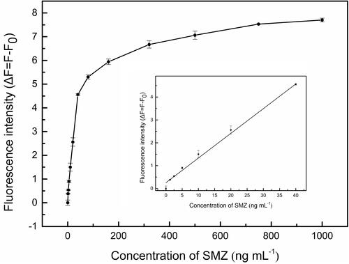 Figure 5 Sensitivity of the fluorescent aptasensor for SMZ detection. The corresponding linear calibration is inset. The SMZ concentration range is 1.25–40 ng mL−1. AuNPs, 180 µL; NaCl, 30 mM; SMZ1S, 80 nM; RhoB, 2.5 µM.