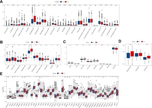 Figure 5 Characterization of tumor microenvironment between two subtypes in TCGA-NSCLC dataset. (A) Enrichment of 22 immune cells evaluated by CIBERSORT. (B) Enrichment of 10 immune cells analyzed by MCP-Counter. (C) EPIC measurement for describing eight immune cells. (D) ESTIMATE method for calculating stromal score and immune score. (E) Expression of 47 immune checkpoints presented as log2 (TPM). Student t-test was performed. *P<0.05, **P<0.01, ***P<0.001, ****P<0.0001.